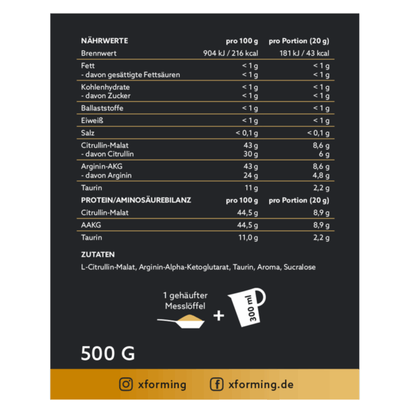 X-PUMP – Bild 3