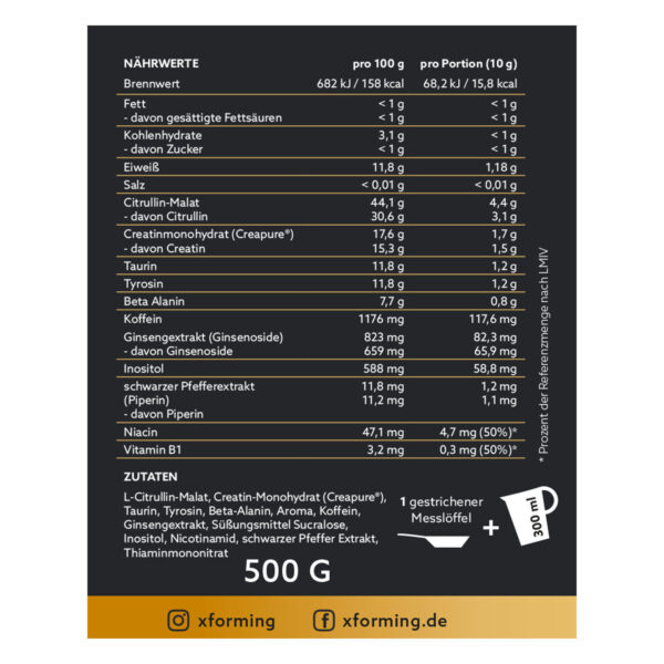 X-GO – Bild 2