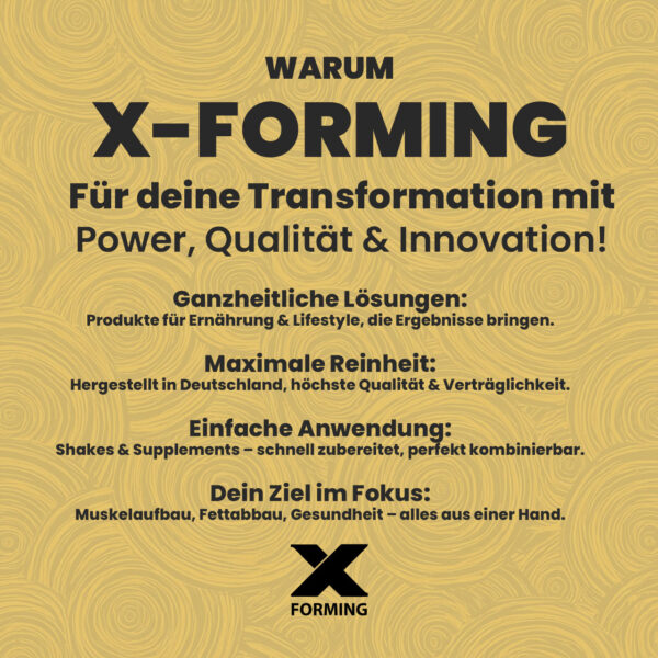 X-PROTEIN + X-FLAVOR – Bild 4